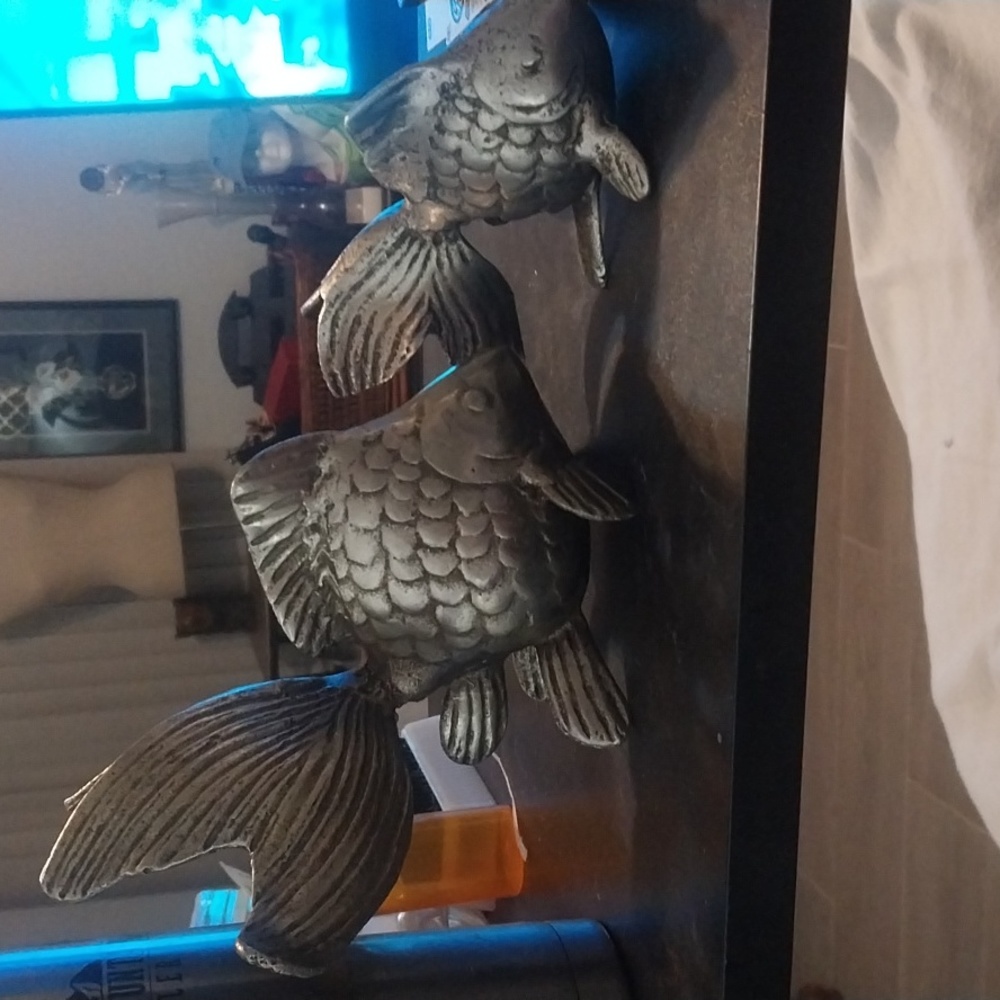 Small and large koi fish - Picture 4 of 8